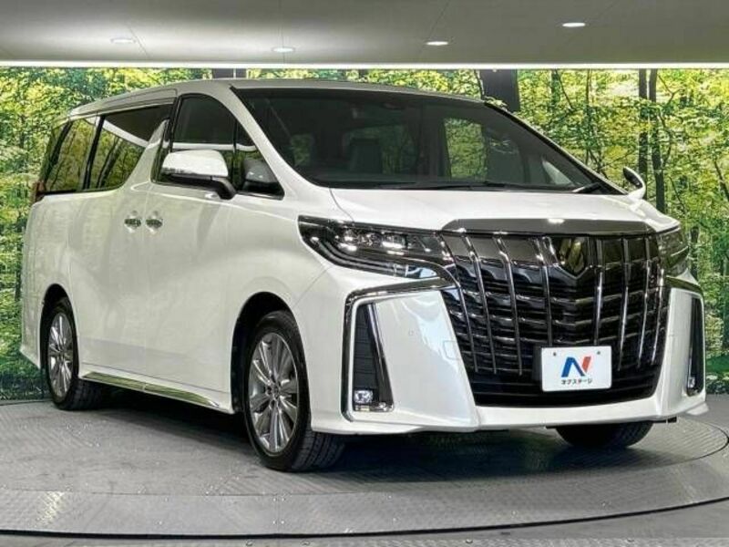 ALPHARD-16