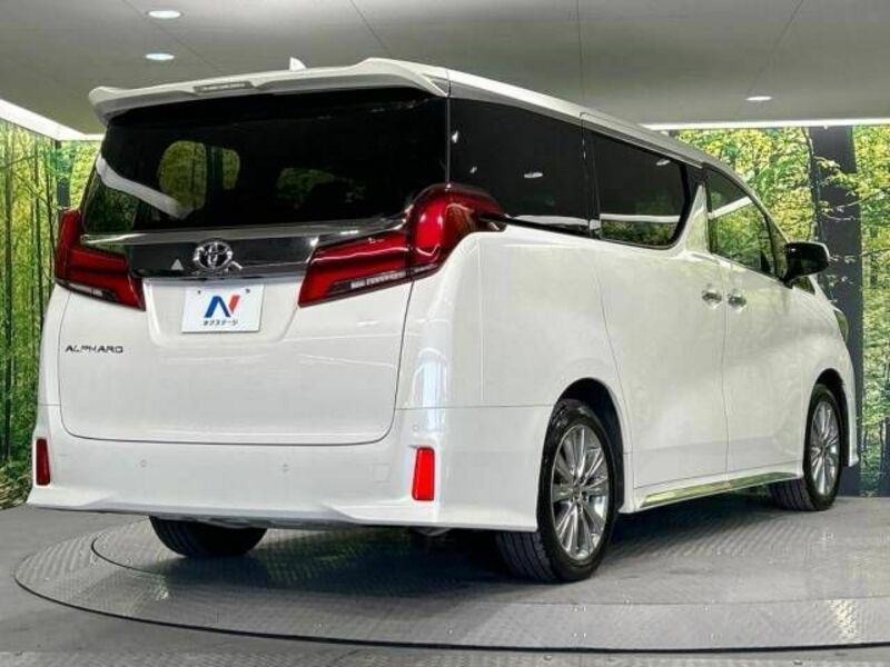 ALPHARD-17