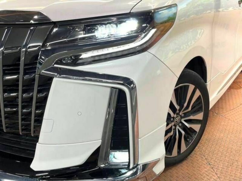 ALPHARD-15