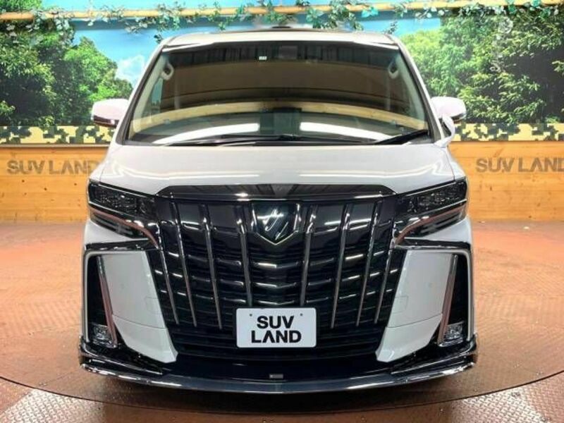 ALPHARD-17