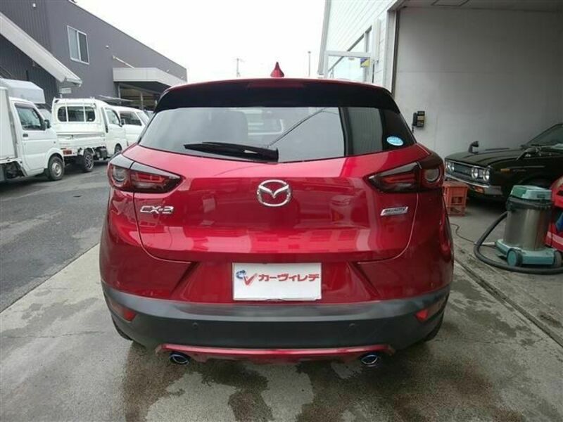 CX-3-6