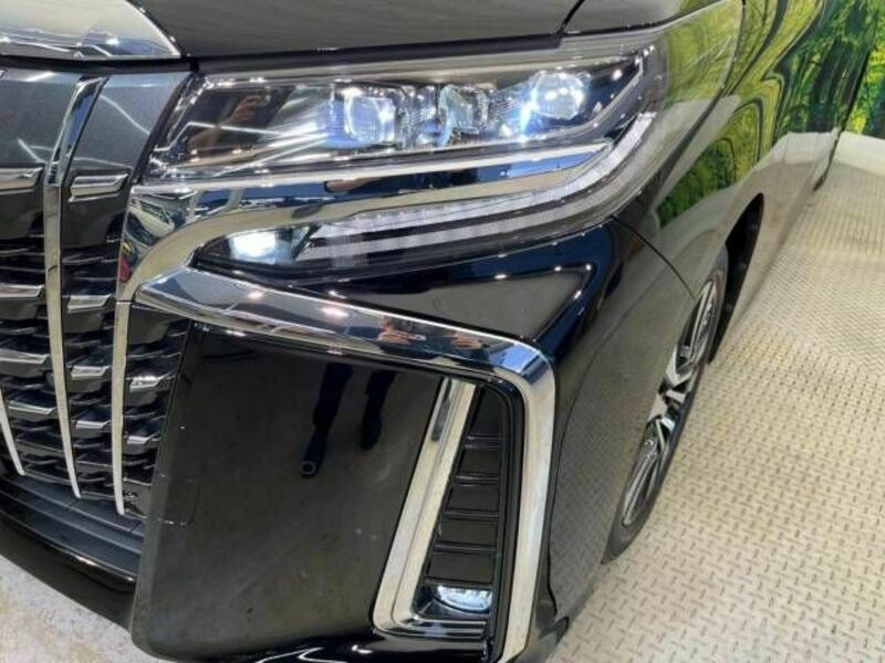 ALPHARD-12