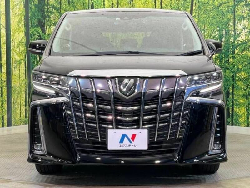 ALPHARD-14