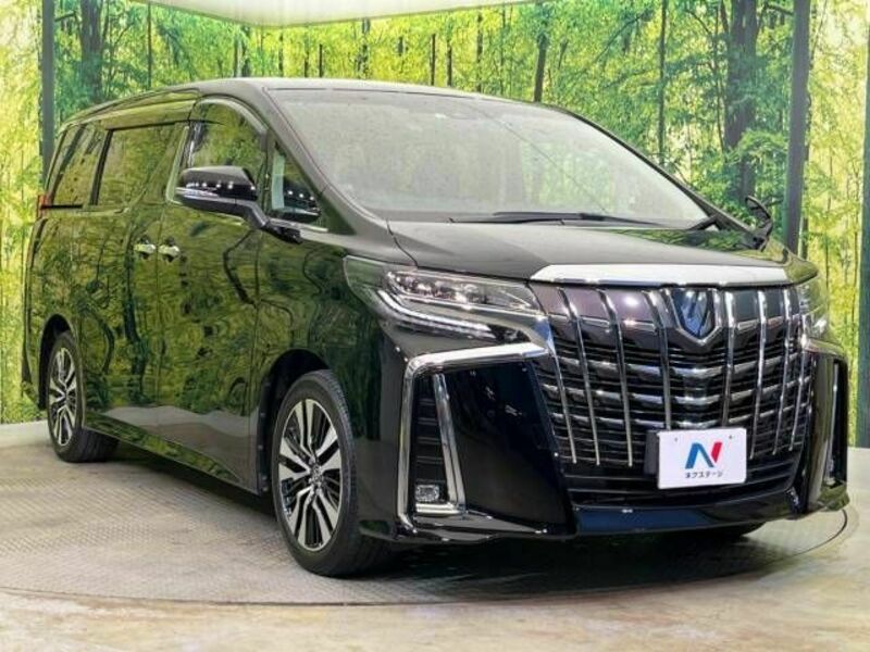 ALPHARD-16