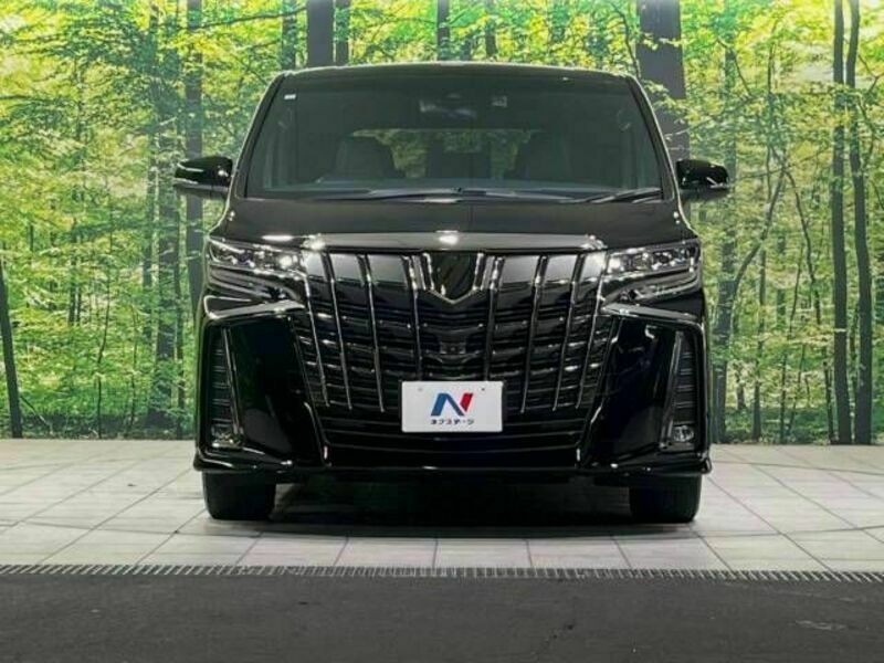 ALPHARD-15