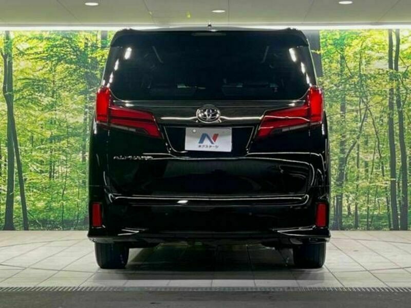 ALPHARD-16