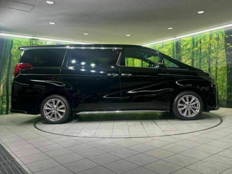 ALPHARD-17