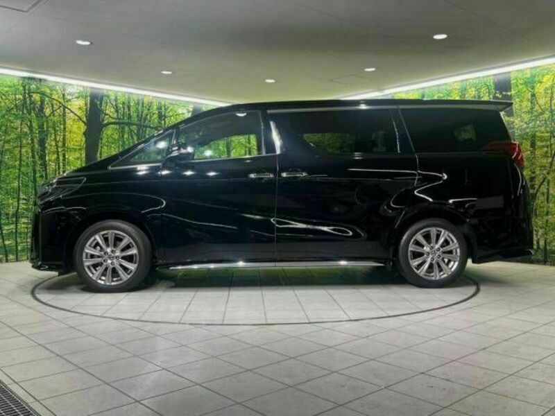 ALPHARD-18