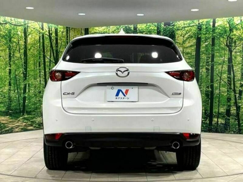 CX-5-15