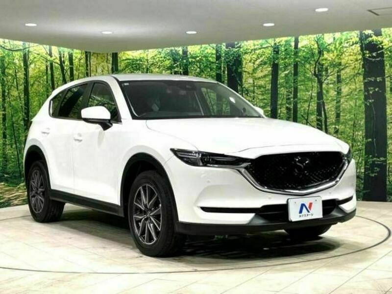 CX-5-16