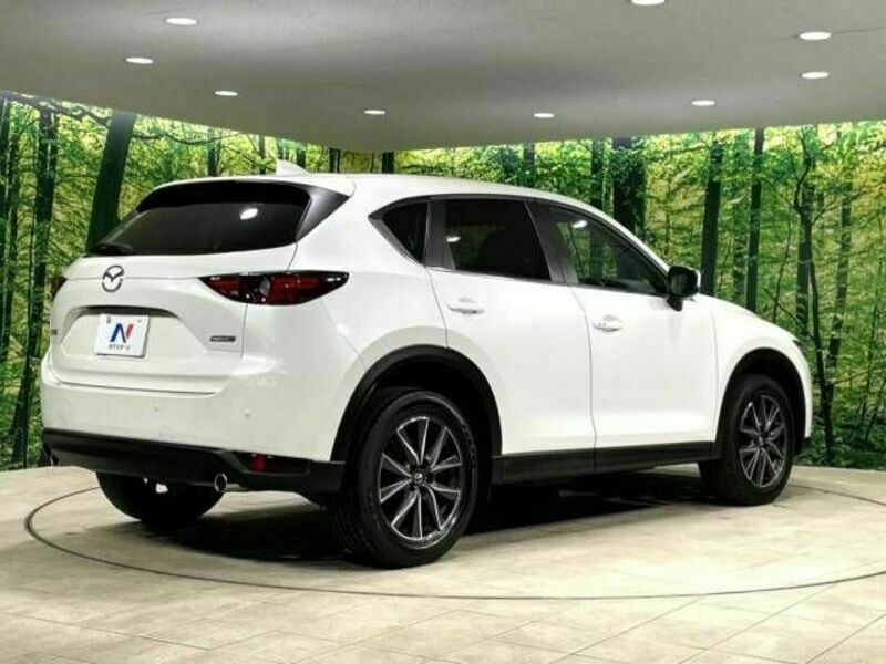 CX-5-17