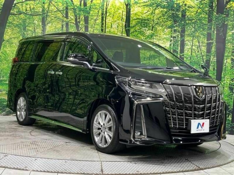 ALPHARD-17