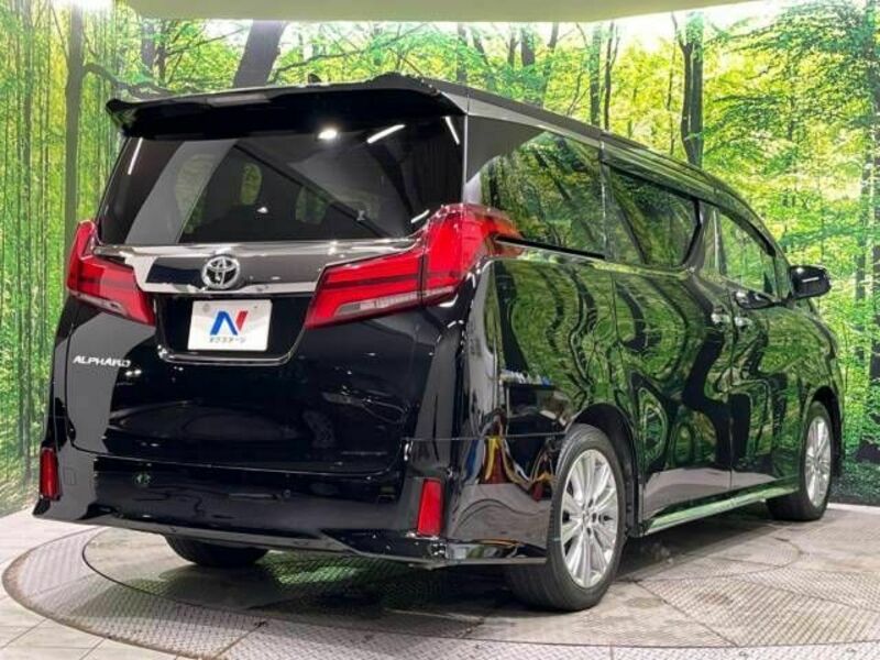 ALPHARD-18