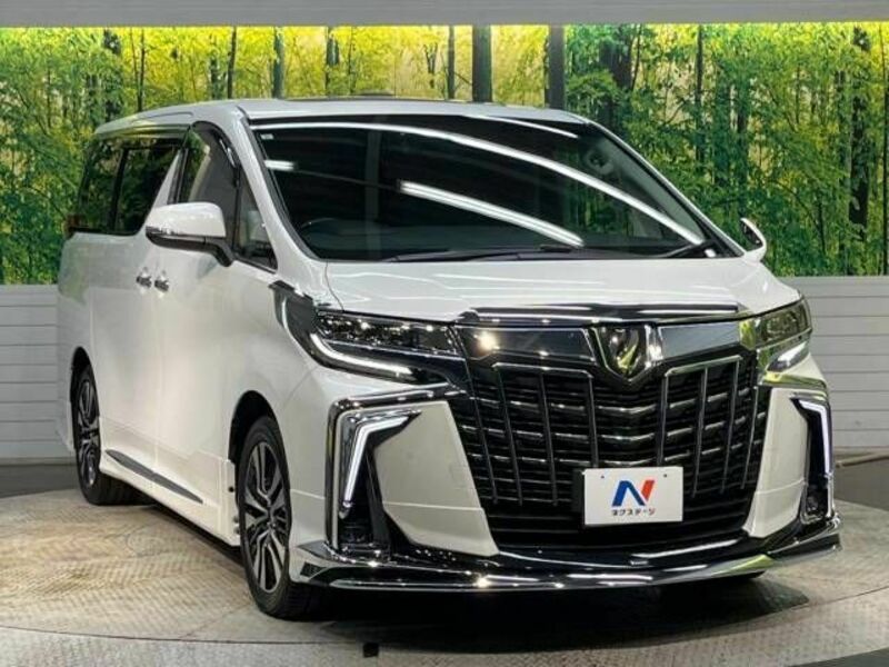 ALPHARD-17