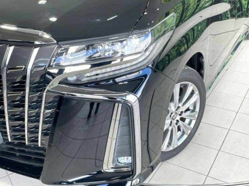 ALPHARD-13