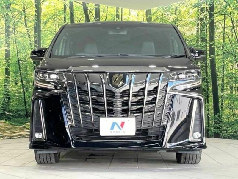 ALPHARD-15