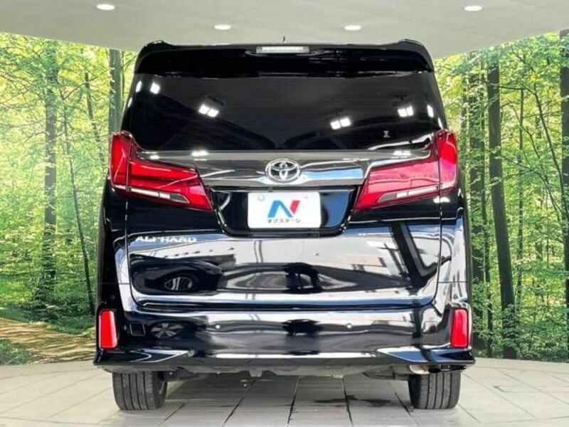 ALPHARD-16