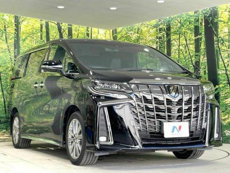 ALPHARD-17