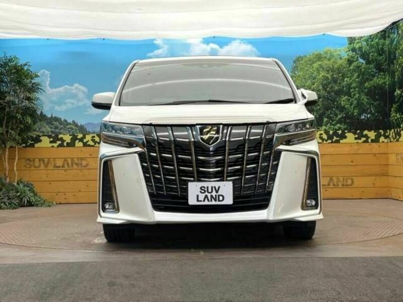 ALPHARD-14