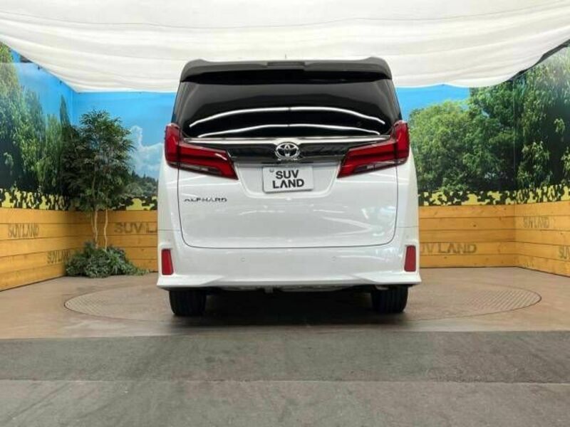 ALPHARD-15