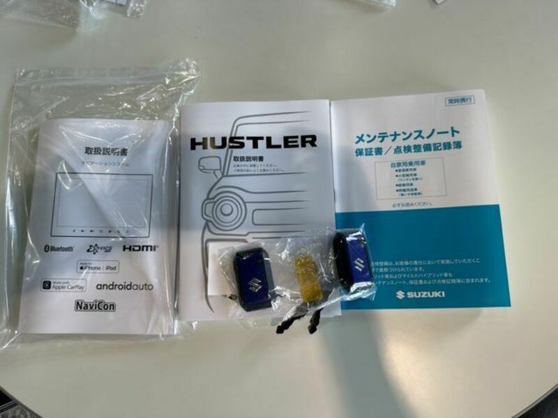 HUSTLER-3