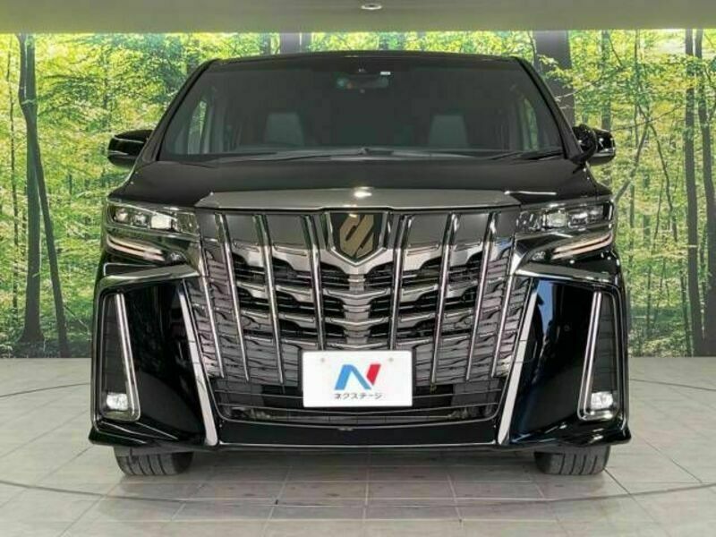 ALPHARD-15