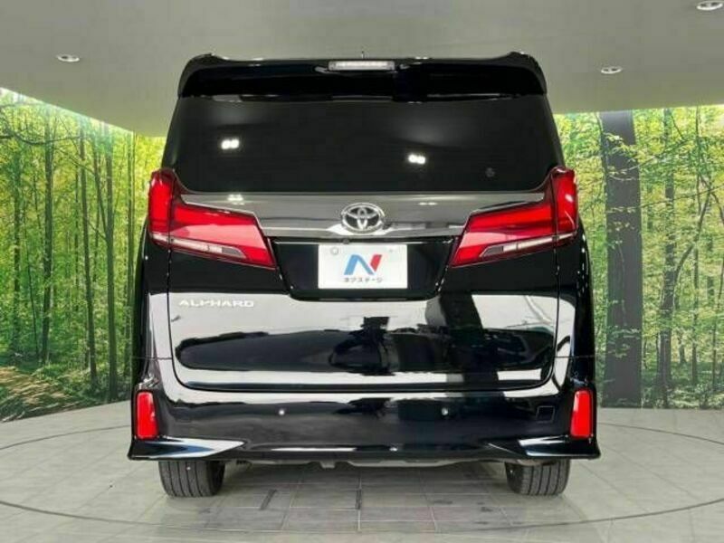 ALPHARD-16