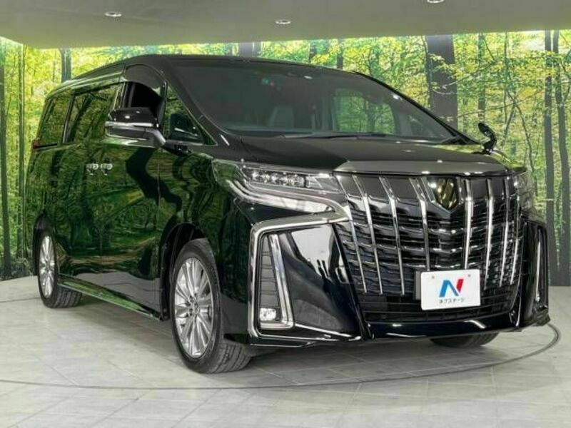 ALPHARD-17