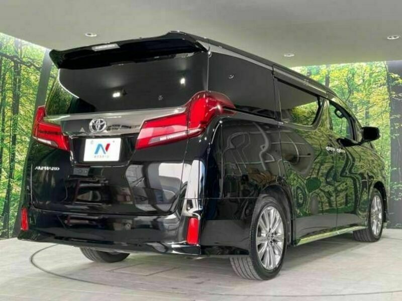 ALPHARD-18