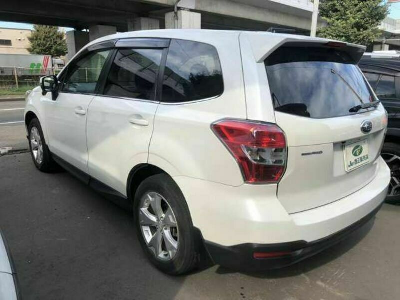 FORESTER-3