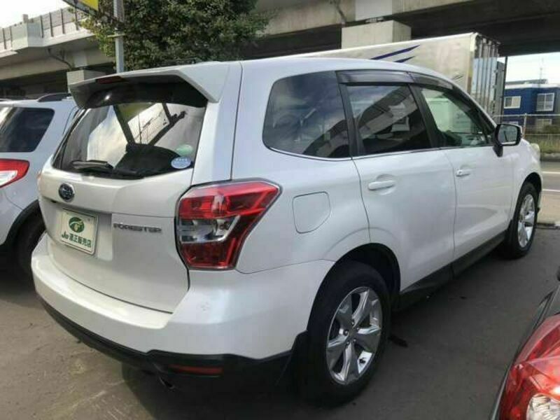 FORESTER-4