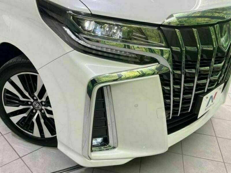 ALPHARD-13