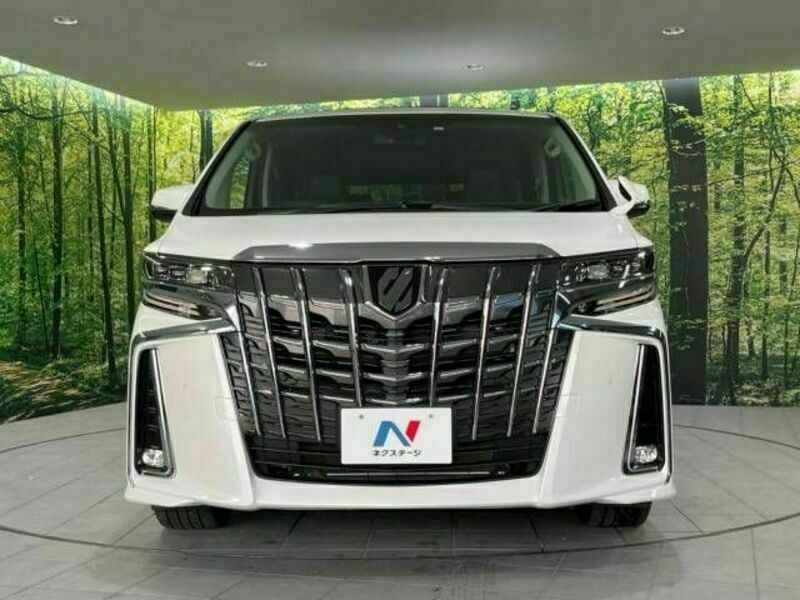 ALPHARD-15