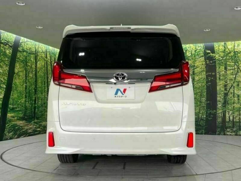 ALPHARD-16