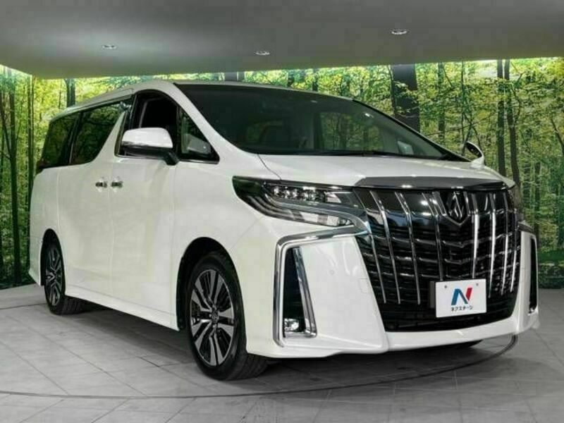 ALPHARD-17