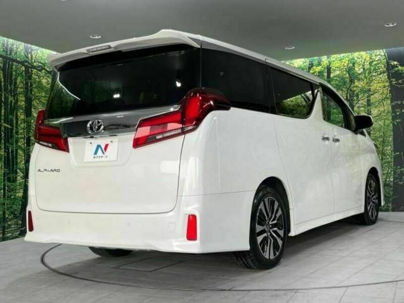 ALPHARD-18