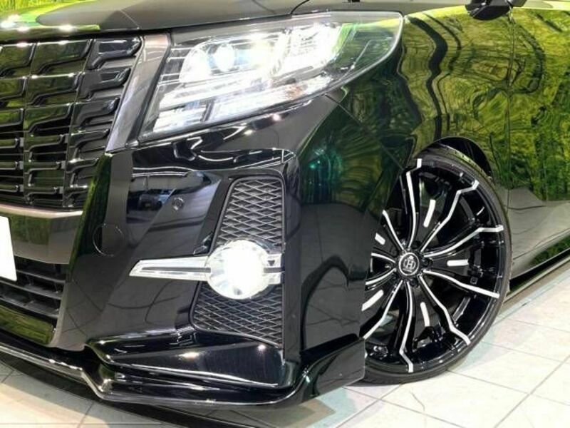 ALPHARD-12