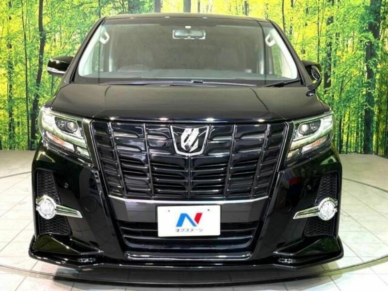 ALPHARD-14