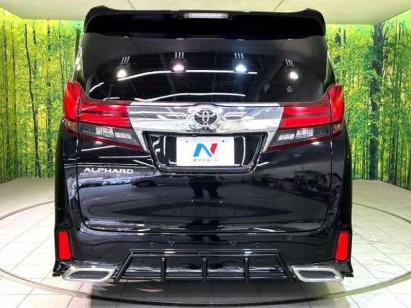 ALPHARD-15