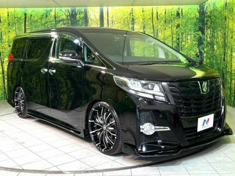 ALPHARD-16