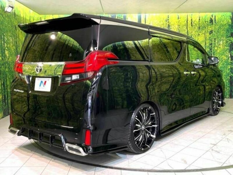 ALPHARD-17