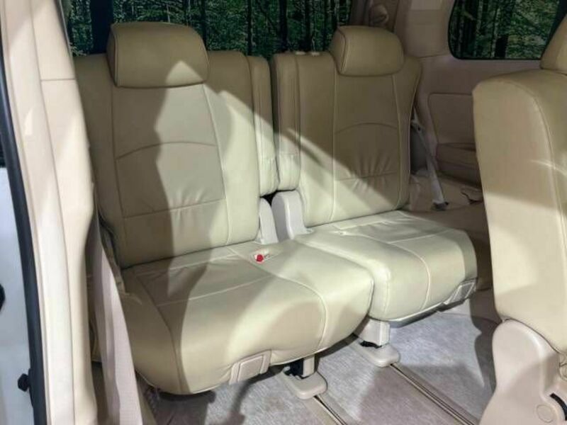 ALPHARD-10