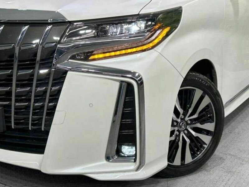 ALPHARD-13