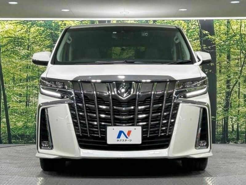 ALPHARD-15