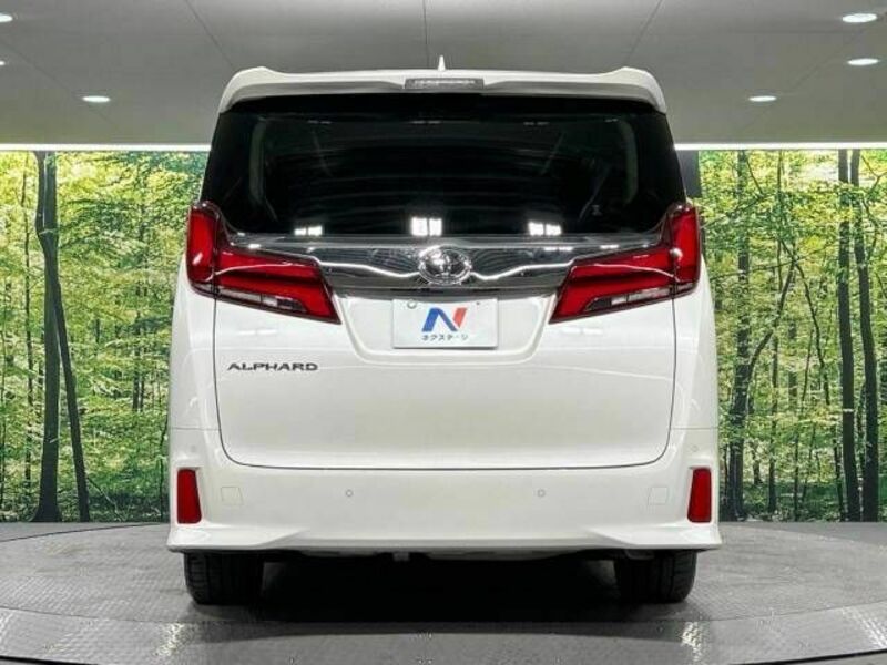 ALPHARD-16