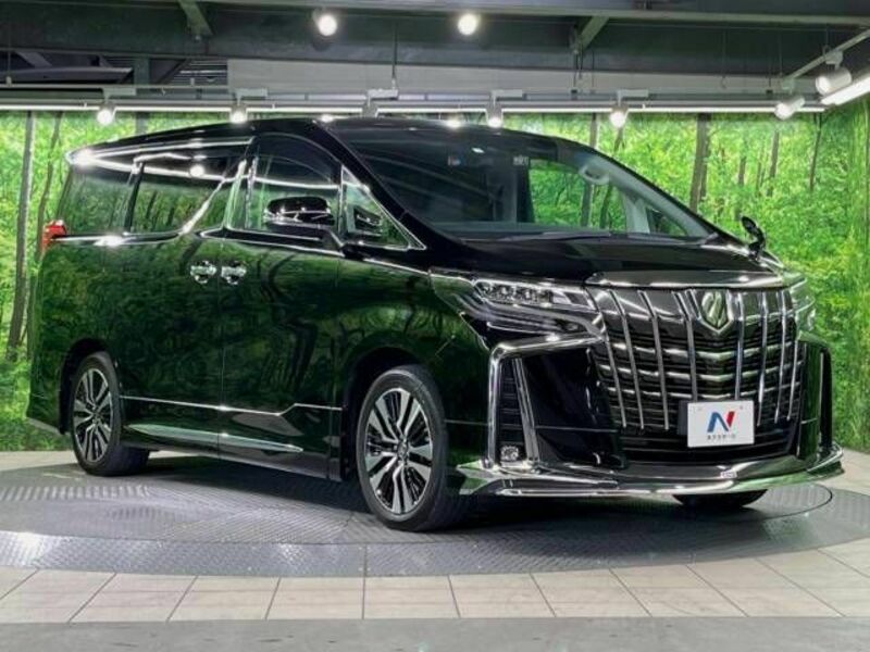 ALPHARD-16