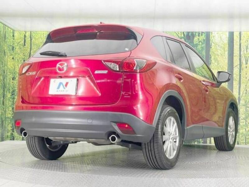 CX-5-17