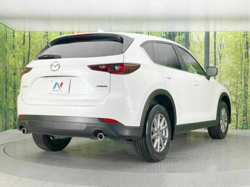 CX-5-17