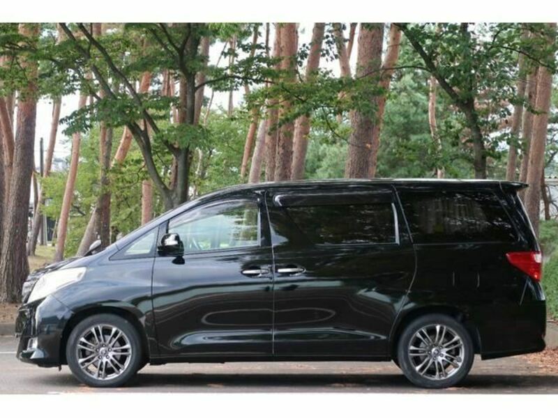 ALPHARD-7