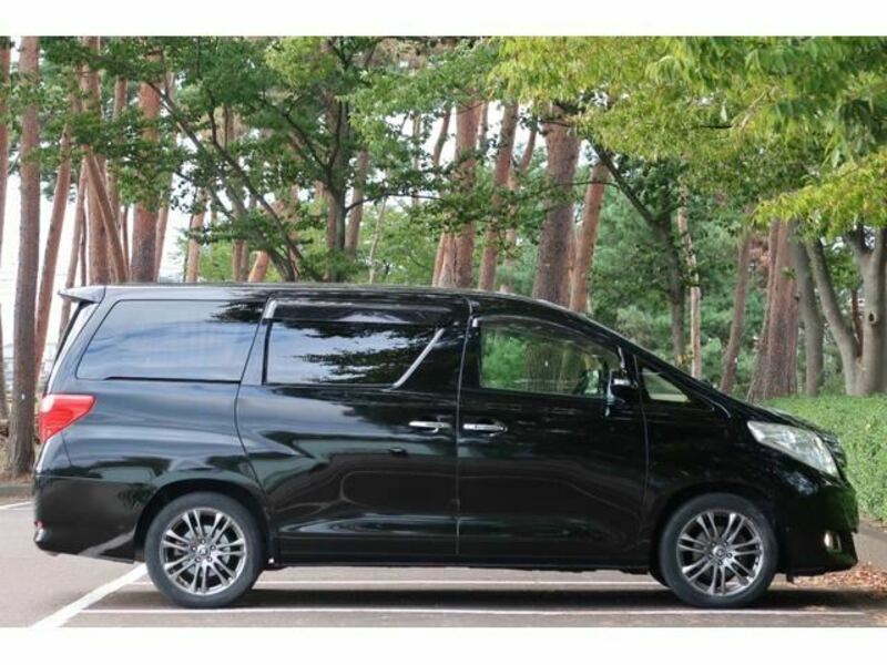 ALPHARD-8